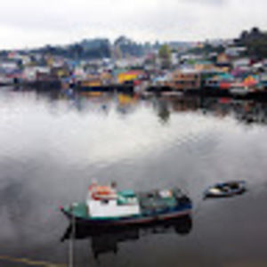 Meet your Posher, Claire